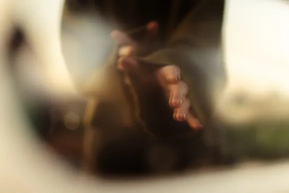 קזינו רויאל סלוטס תמיכה